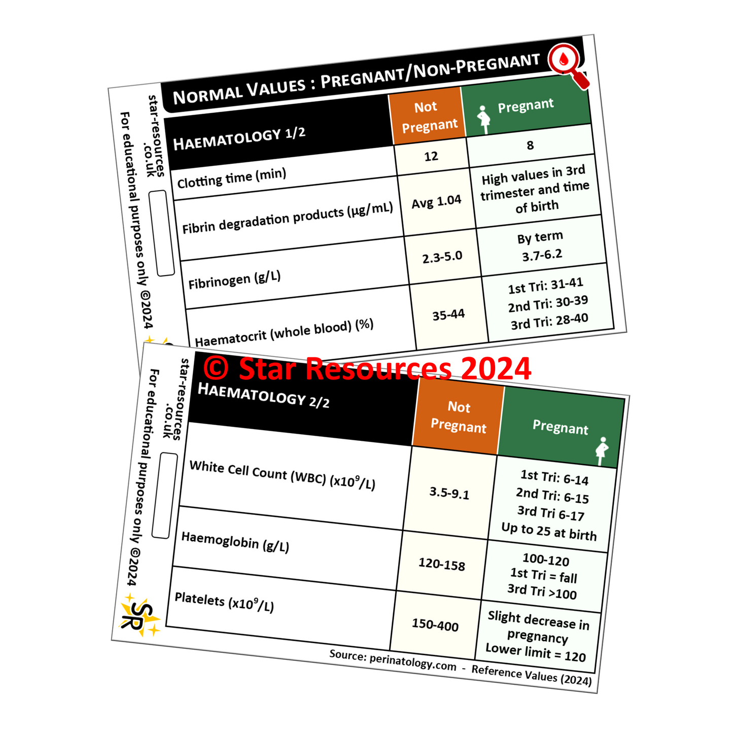 Normal Blood Values in Pregnant / Non-Pregnant Women ID Badge Card Nurse Student Paramedic Midwife