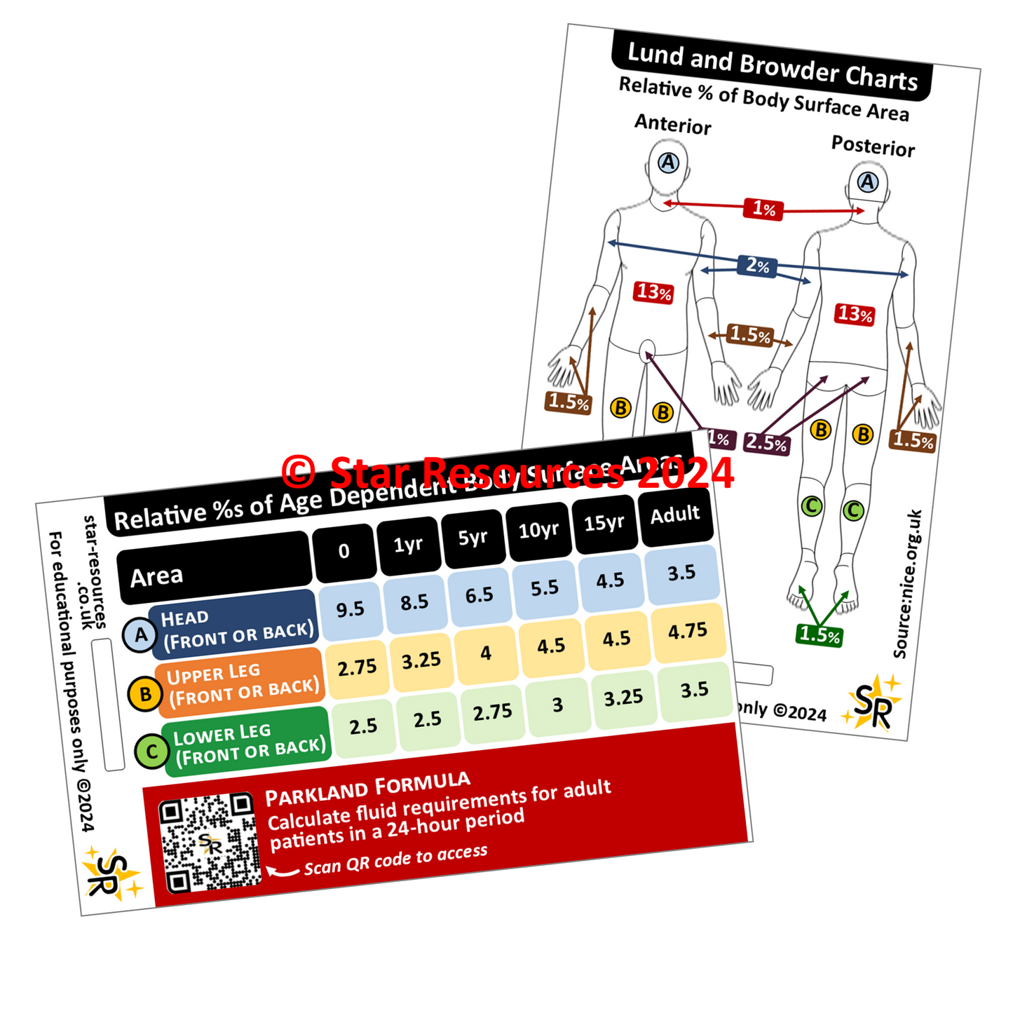 Set 1 - Patient Assessment ID Badge Cards Student Nurses, Paramedics, Ambulance