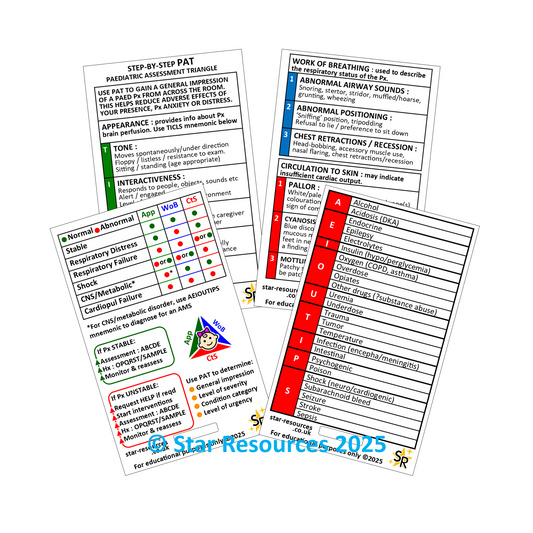 Paediatric Assessment Triangle - PAT - ID Badge Flash Card Student Paramedics Ambulance