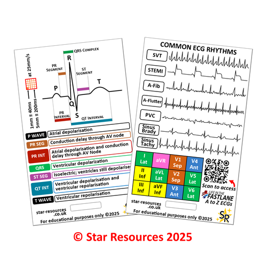 ECG Rhythms ID Badge Card