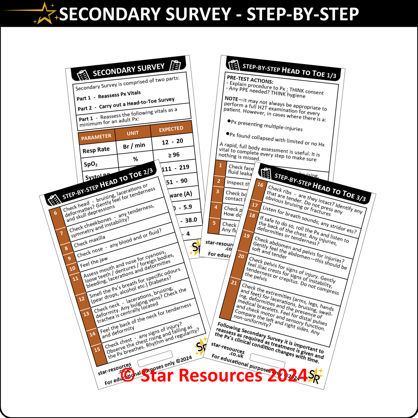 Set 6 - Patient Assessment Step-By-Step ID Badge Cards Student Nurses, Paramedic, Ambulance