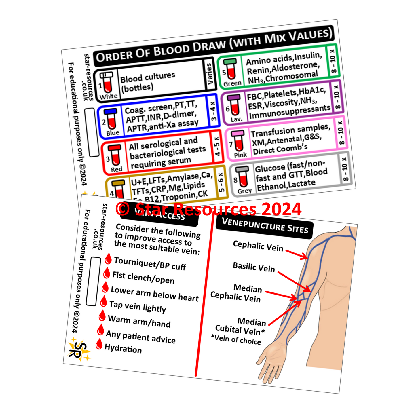 Order of Blood Draw ID Badge Card | Paramedic Flashcard | Nurses Phlebotomist Student