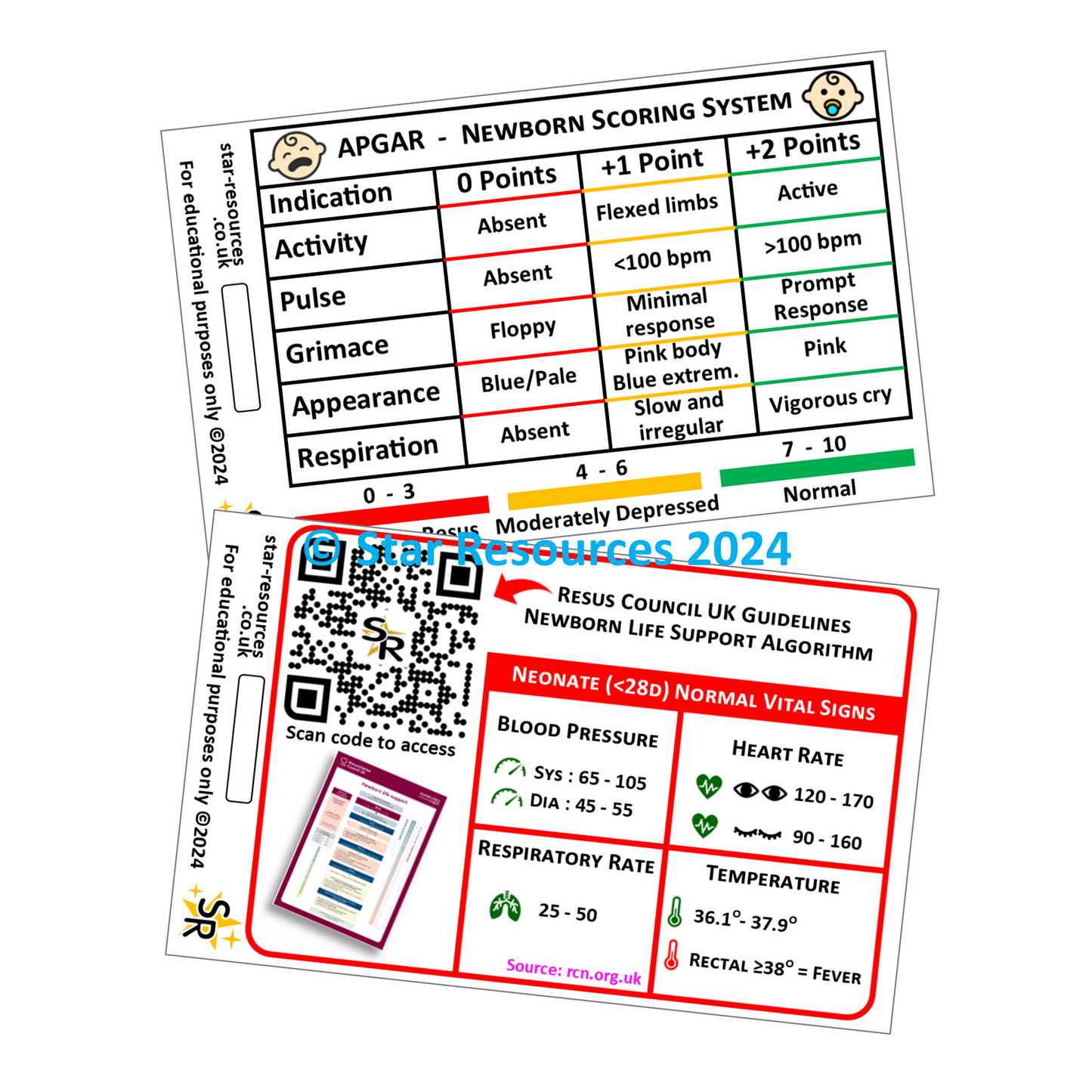 APGAR ID Badge Card | Paramedic Flashcard | Midwife Maternity Nurse Student Neonatal