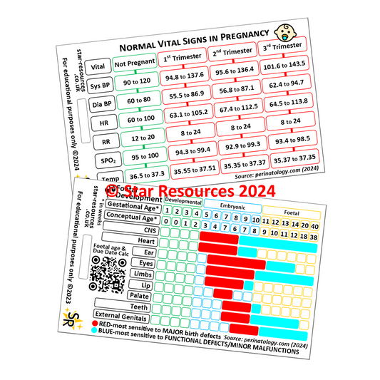 Normal Vital Signs in Pregnancy | Foetal Development | Paramedic Flashcard | Midwife Maternity Nurse Student Prenatal