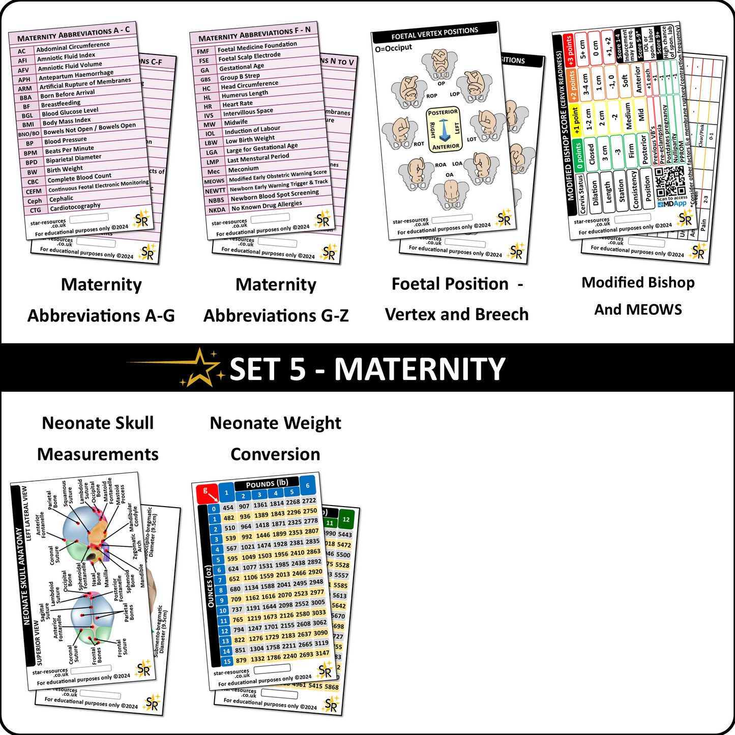 Set 5 - Maternity Badge ID Badge Cards Student Nurses, Midwives