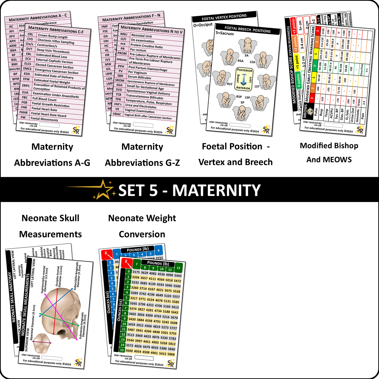 Set 5 - Maternity Badge ID Badge Cards Student Nurses, Midwives