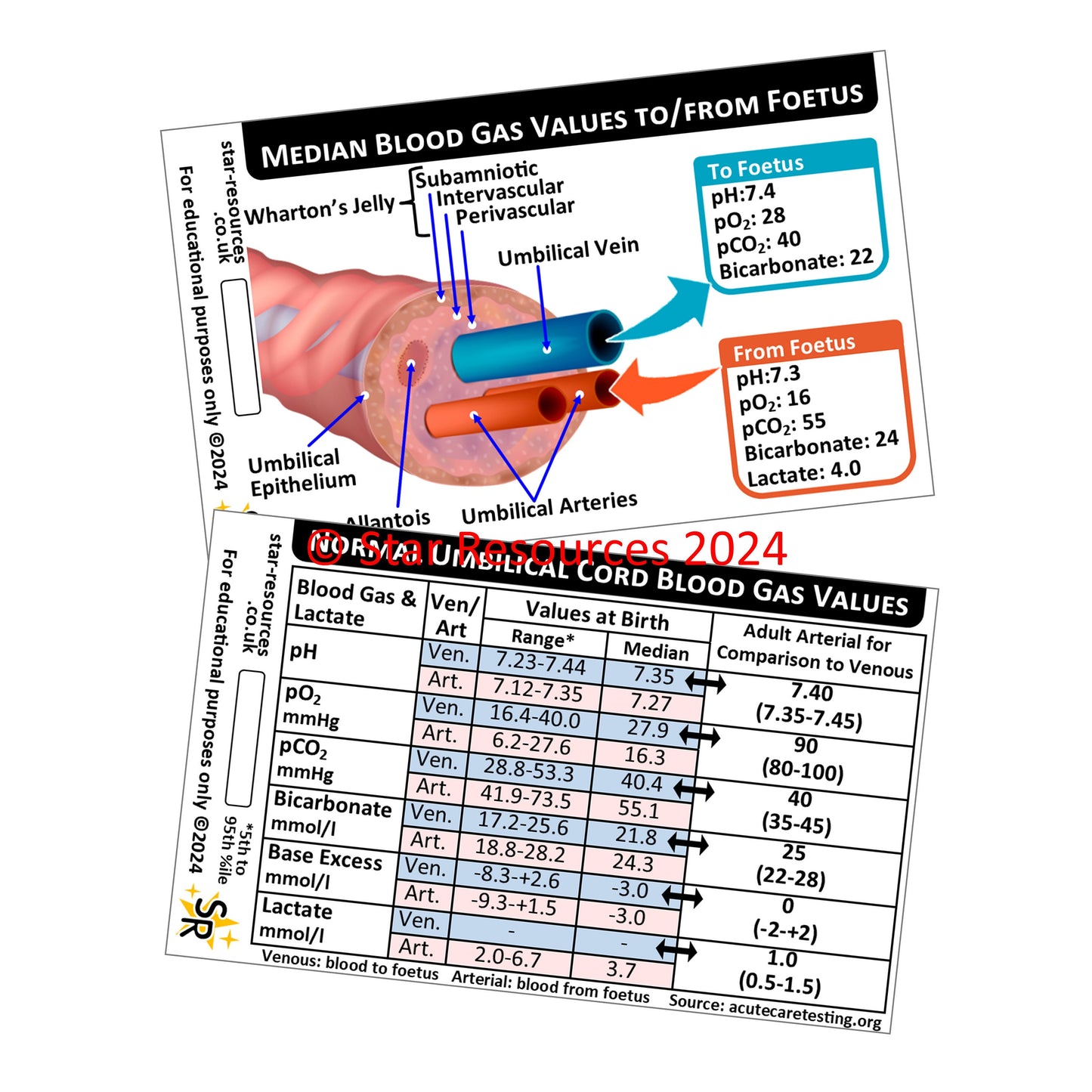 Umbilical Cord Blood Gas Values ID Badge Card Nurse Maternity Midwife Student Medical