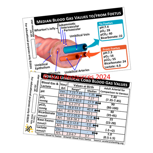 Umbilical Cord Blood Gas Values ID Badge Card Nurse Maternity Midwife Student Medical