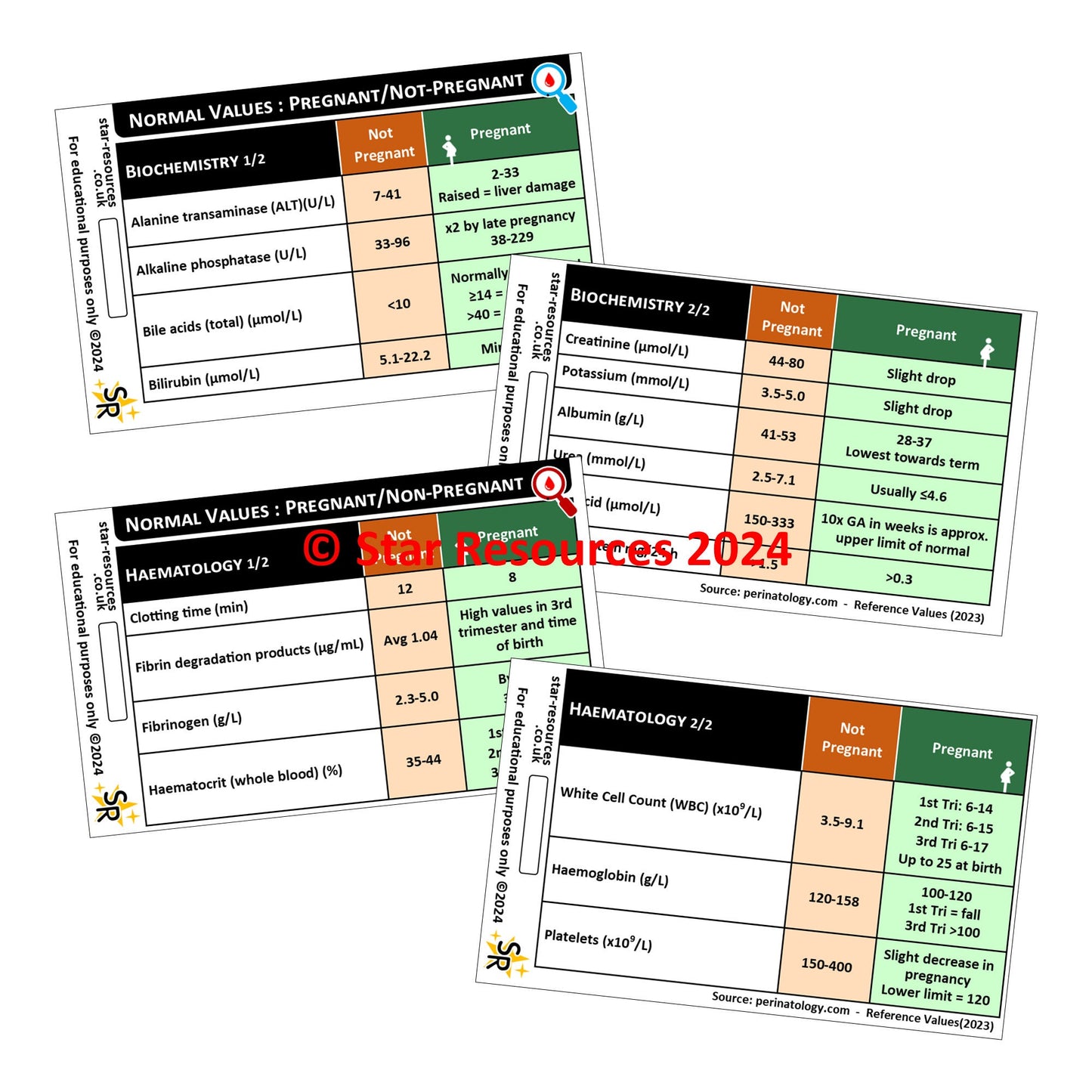 Normal Blood Values in Pregnant / Non-Pregnant Women ID Badge Card Nurse Student Paramedic Midwife