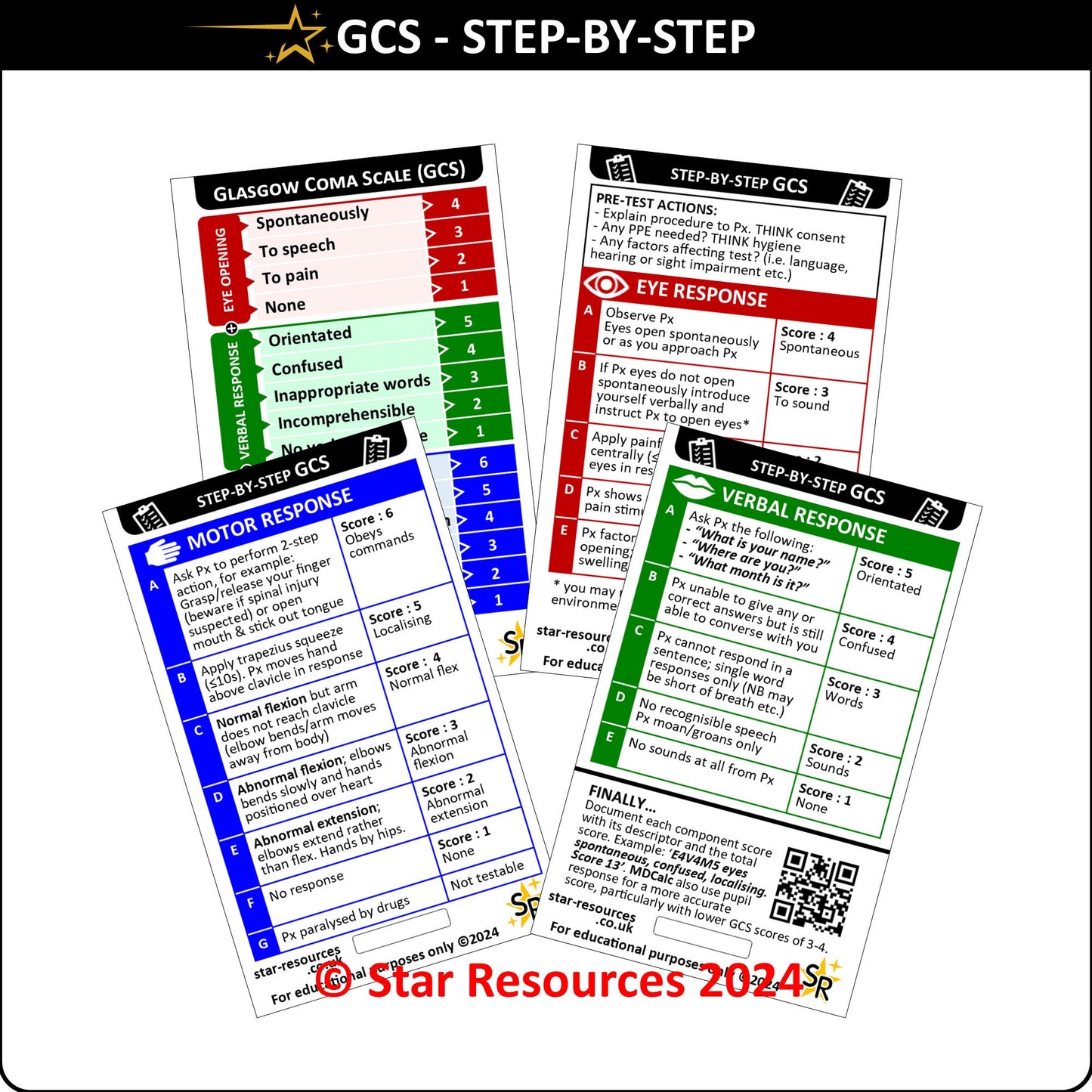 Set 6 - Patient Assessment Step-By-Step ID Badge Cards Student Nurses, Paramedic, Ambulance