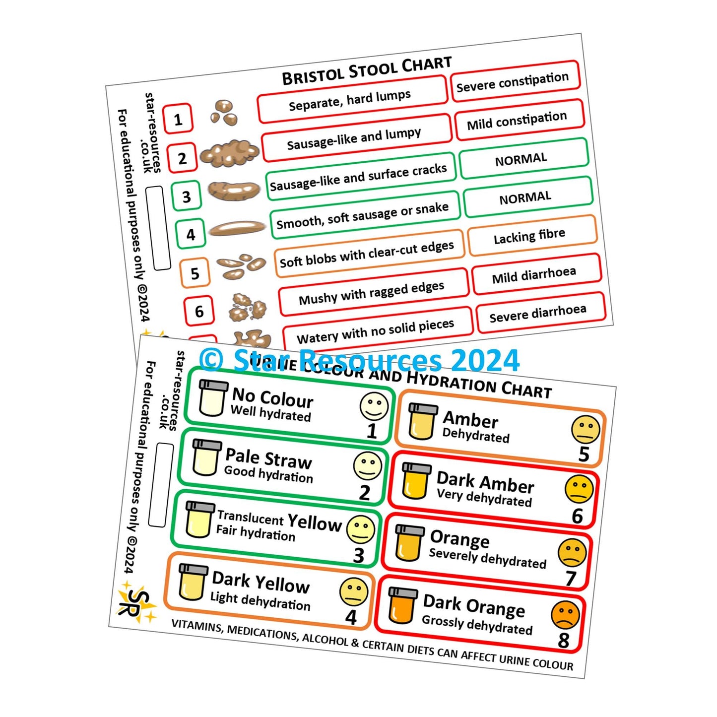 Bristol Stool and Urine Colour Charts ID Badge Card | Paramedic Flashcard | Nurse Student HCA