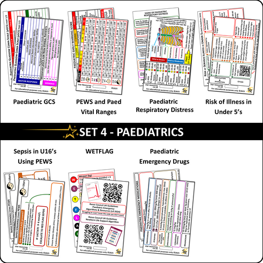 Set 4 - Paediatric  Patient Assessment ID Badge Cards Student Nurses, Paramedic, Ambulance